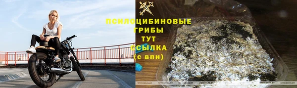 эйфоретик Инсар