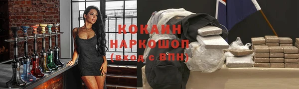 apvp Рославль
