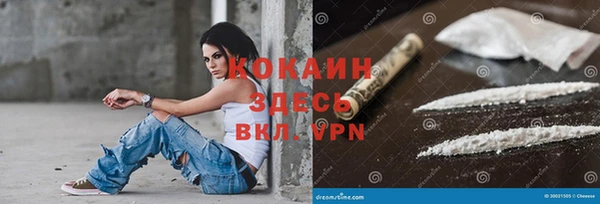 apvp Рославль