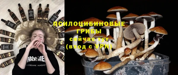 2c-b Инта