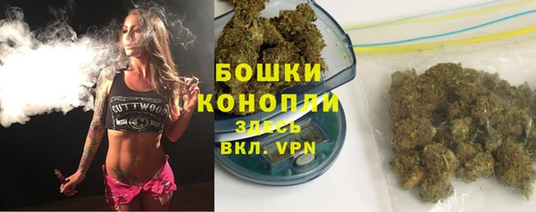 apvp Рославль