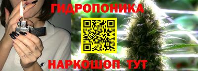 мдма Гай