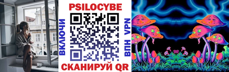 Галлюциногенные грибы GOLDEN TEACHER  mega онион  Советск  купить  цена 