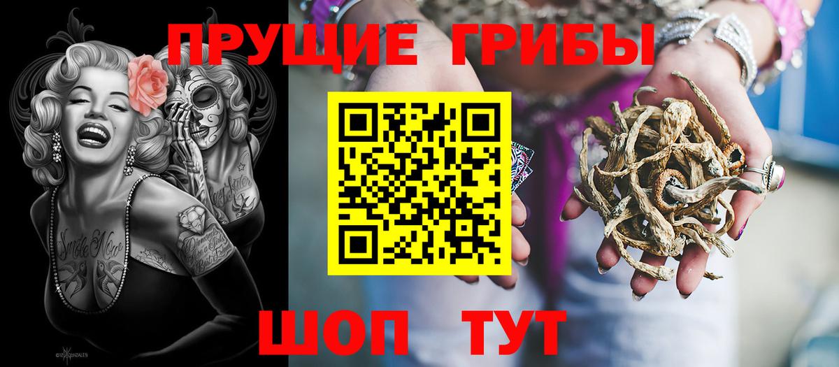 Советск  Псилоцибиновые грибы Psilocybine cubensis  Вход с VPN 