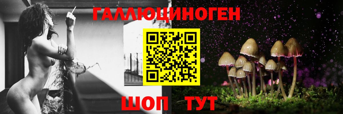 Псилоцибиновые грибы Psilocybine cubensis Советск